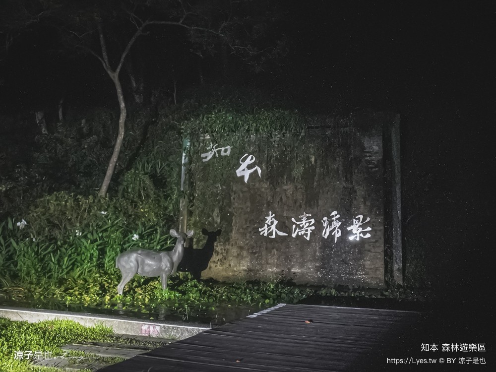 知本森林遊樂區 台東親子景點 夜探知森 夜間導覽 星象導覽 國家森林 台東景點 知本景點