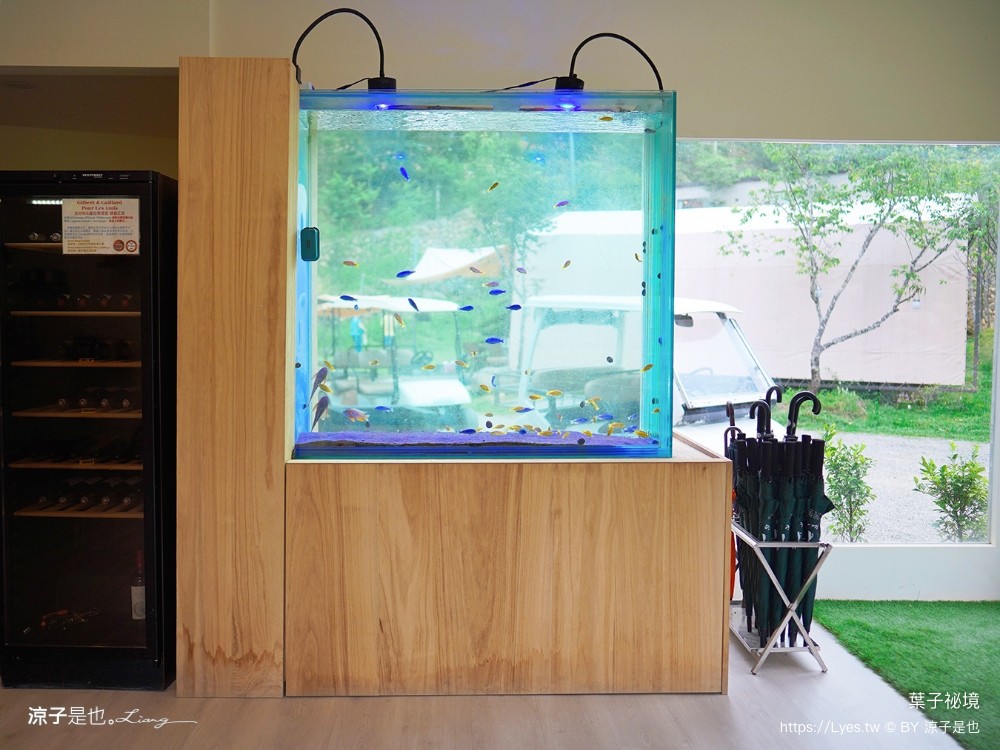 葉子祕境 南投埔里民宿 森林住宿 豪華懶人 netflix disney 日月潭 早餐 晚餐