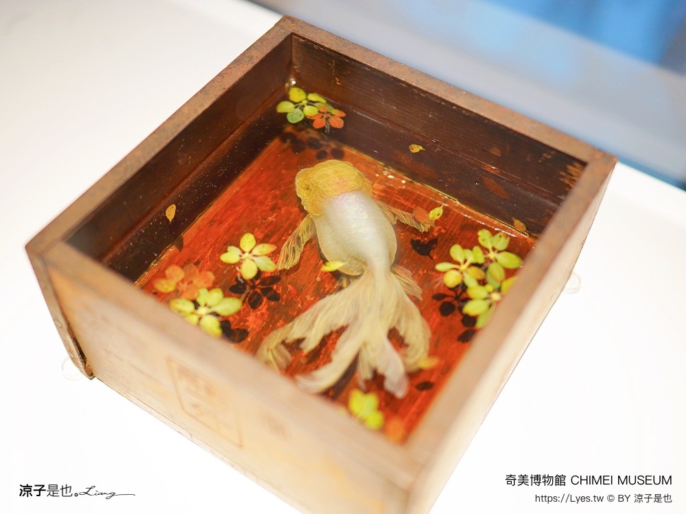 奇美博物館 台南景點 親子景點 特展 跳出格子吧 常設展7大廳 優惠