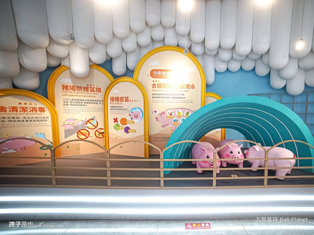丸聚星球 嘉義觀光工廠 親子景點 嘉楠食品 大林景點 貢丸 親子diy 嘉義雨天景點 室內景點 大林必玩 ball planet