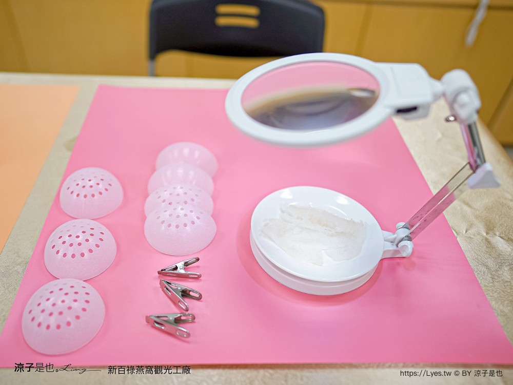 新百祿燕窩觀光工廠 免門票 台南景點 親子景點 燕窩DIY 台南伴手禮 互動體驗 新百祿燕窩評價