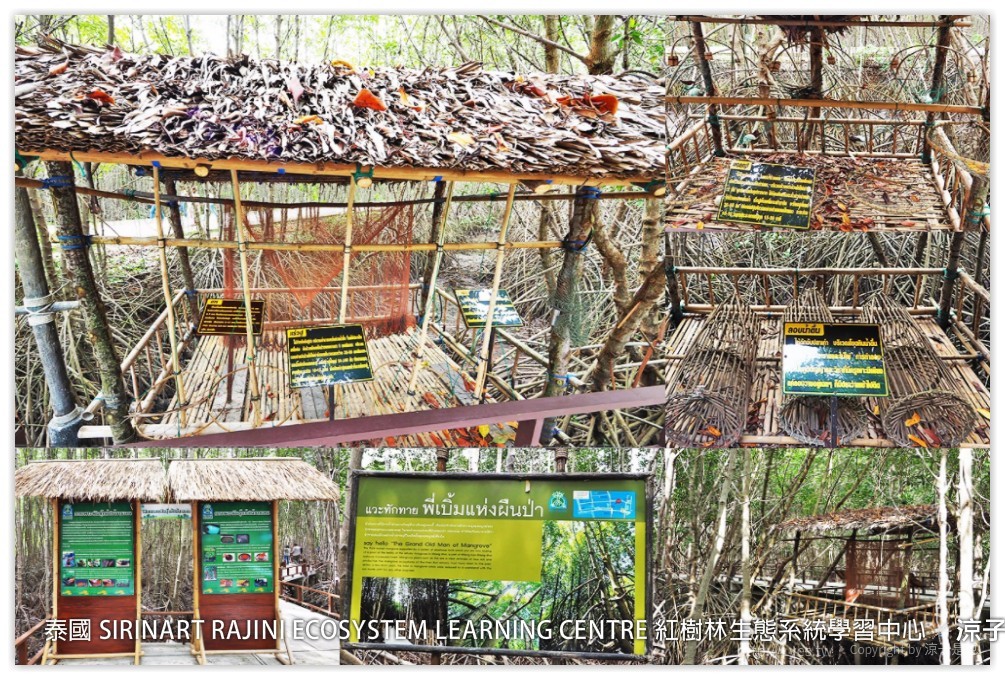 泰國 SIRINART RAJINI ECOSYSTEM LEARNING CENTRE 紅樹林生態系統學習中心
