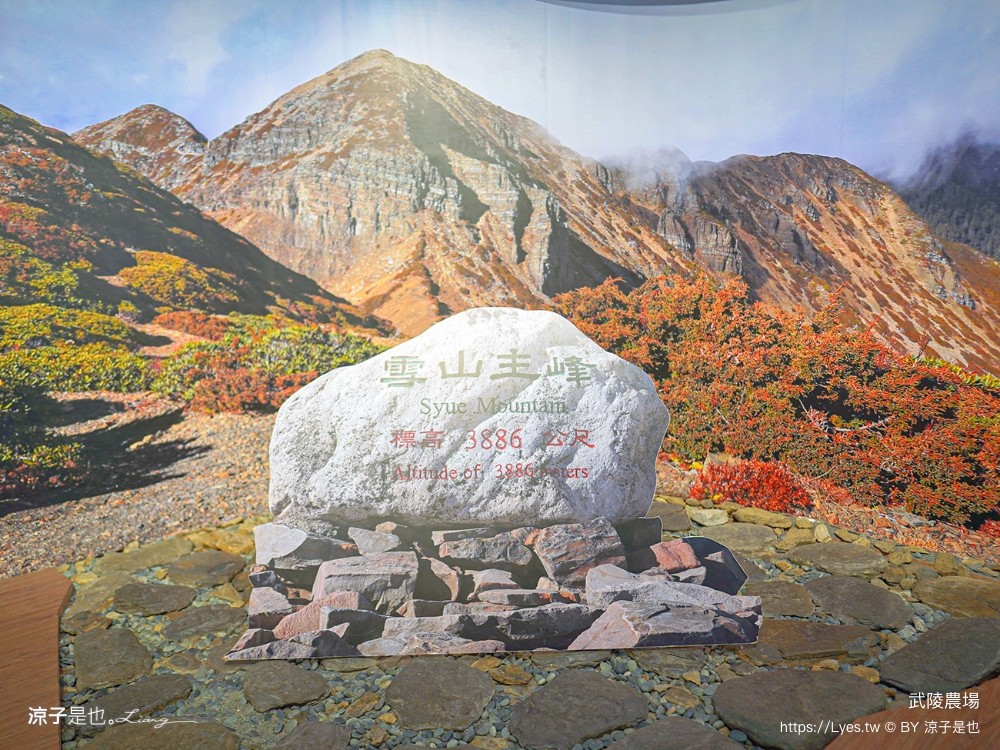 福壽山農場 民宿房型 住宿 露營 賞楓