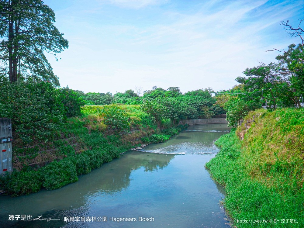 哈赫拿爾森林公園 台南景點 最新公園 森林秘境 開放時間 綠化 生態公園 交通 親子 hagenaars bosch