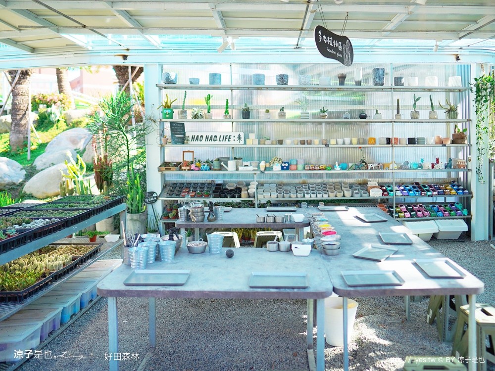 好田森林 菜單 門票 彰化田尾 親子餐廳 親子樂園 恐龍森林 滑草 野餐 玩沙 卡丁車 彰化景點 空中卡丁車