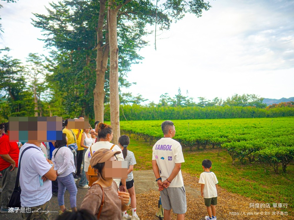 阿度的店 台東景點 鹿野 租車 電動單車遊 綠色隧道 躺馬路 體驗 自行車