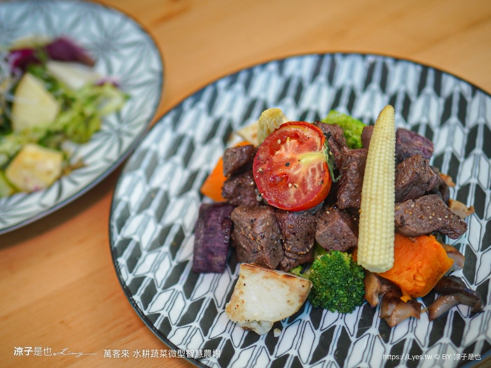 萬客來水耕蔬菜微型智慧農場 菜單 台南餐廳 台南美食 玻璃屋餐廳 台南景觀餐廳 早午餐