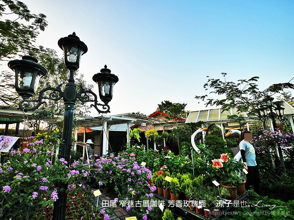 田尾 窄巷古厝咖啡 芳香玫瑰園