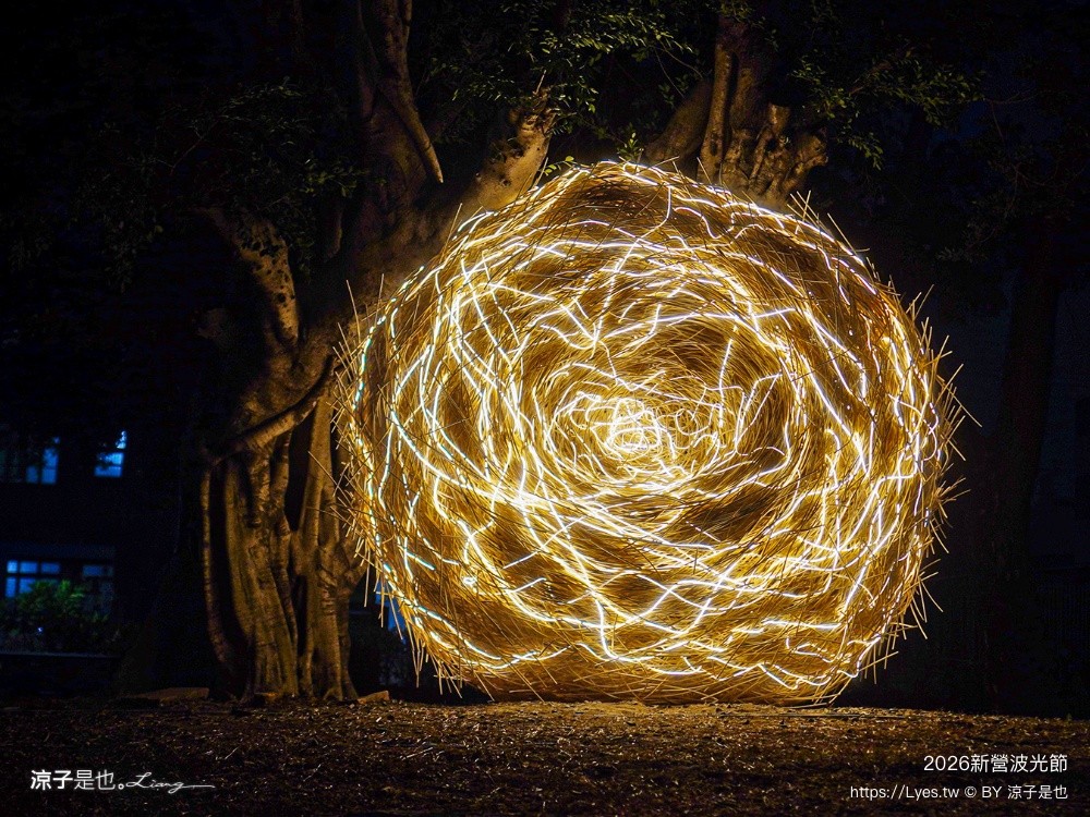  2026新營波光節 光之夢 台南夜拍景點 台南景點 台南燈節 台南親子景點 天鵝湖公園 新營夜景 新營景點 新營波光節 新營燈會