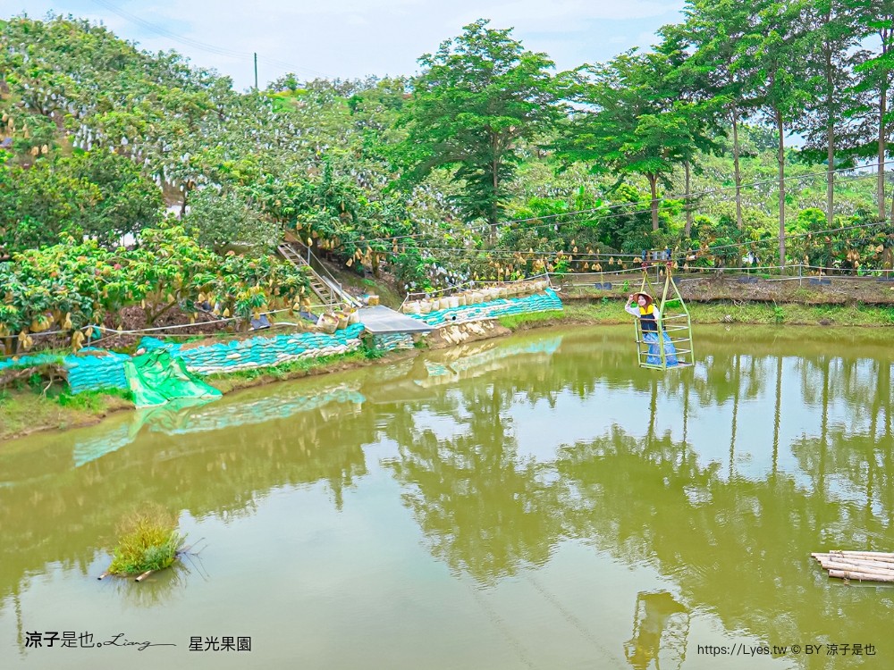 星光 親子景點 免費採果活動 台南農場 台南露營 diy 採芒果體驗 自然的鬥士
