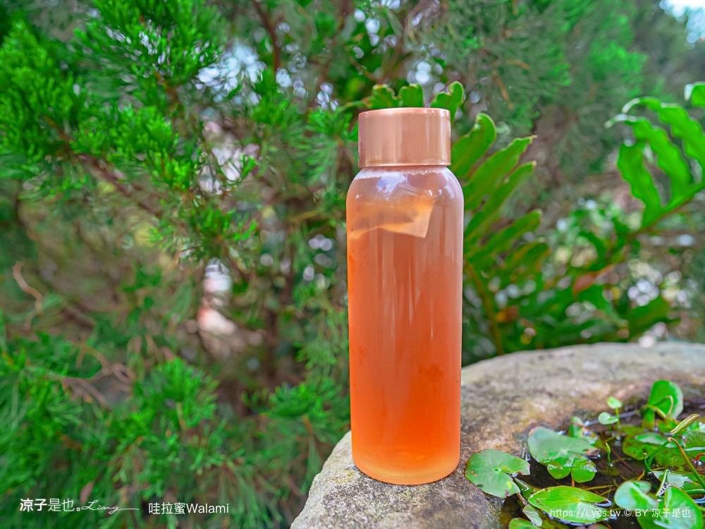 哇拉蜜冰店 菜單 南投景點 日月潭 手工法式冰淇淋 魚池冰品 庭園餐廳 便宜 古早冰棒 cp值