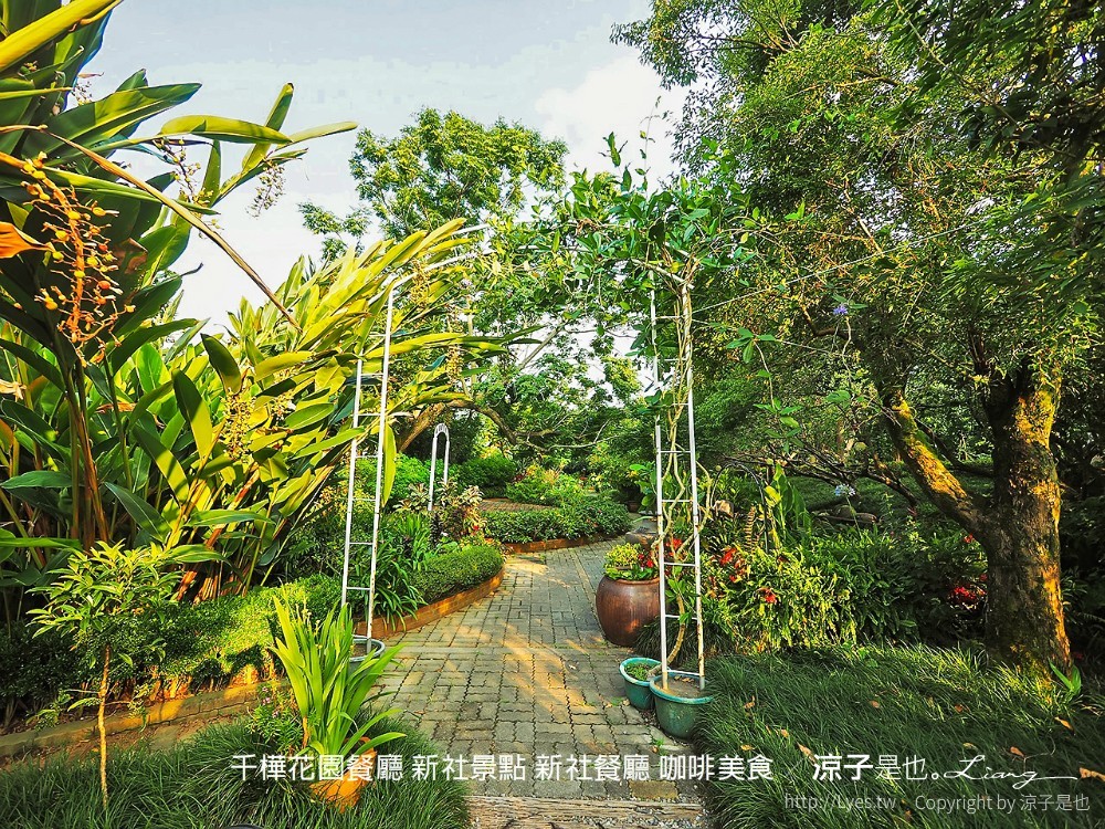 千樺花園餐廳 新社景點 新社餐廳 咖啡美食