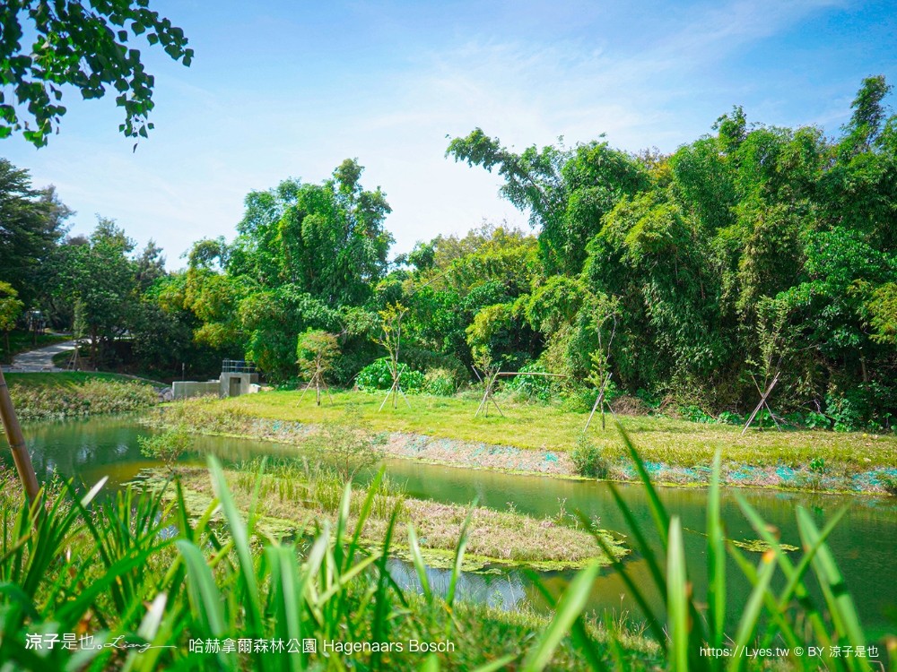 哈赫拿爾森林公園 台南景點 最新公園 森林秘境 開放時間 綠化 生態公園 交通 親子 hagenaars bosch