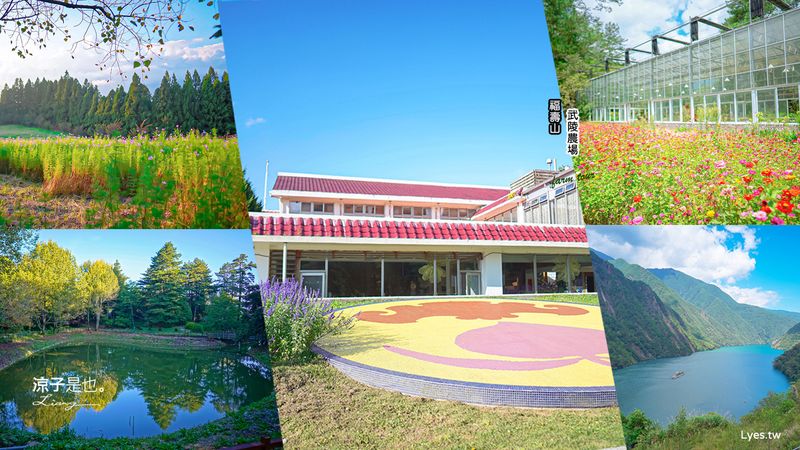 福壽山、武陵農場二日遊這樣玩！2022臺中購物節獨享優惠 6大台中旅遊玩法最低不到千元 福壽山、武陵行程景點全攻略