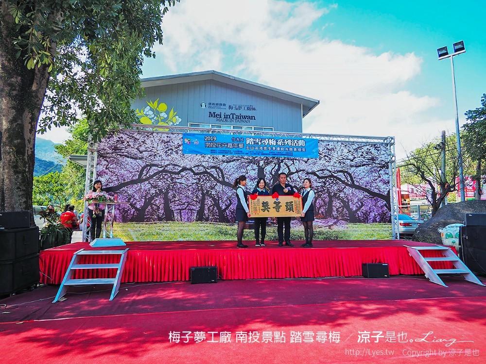 梅子夢工廠 南投景點 踏雪尋梅