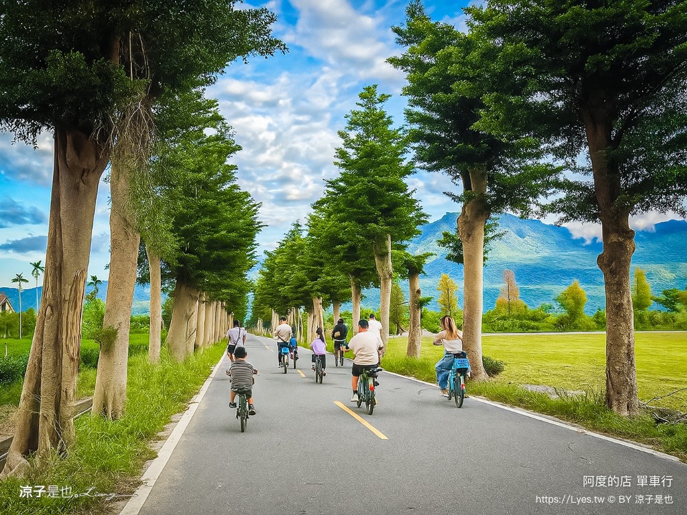 阿度的店 台東景點 鹿野 租車 電動單車遊 綠色隧道 躺馬路 體驗 自行車