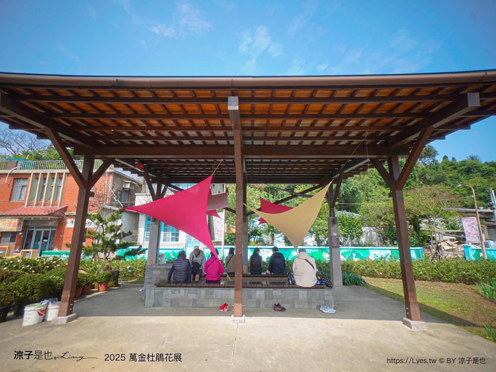 萬金杜鵑花展2025 金山中山溫泉公園 新北景點 北海岸活動 交通 展期 花藝造景 打卡必拍 懶人包