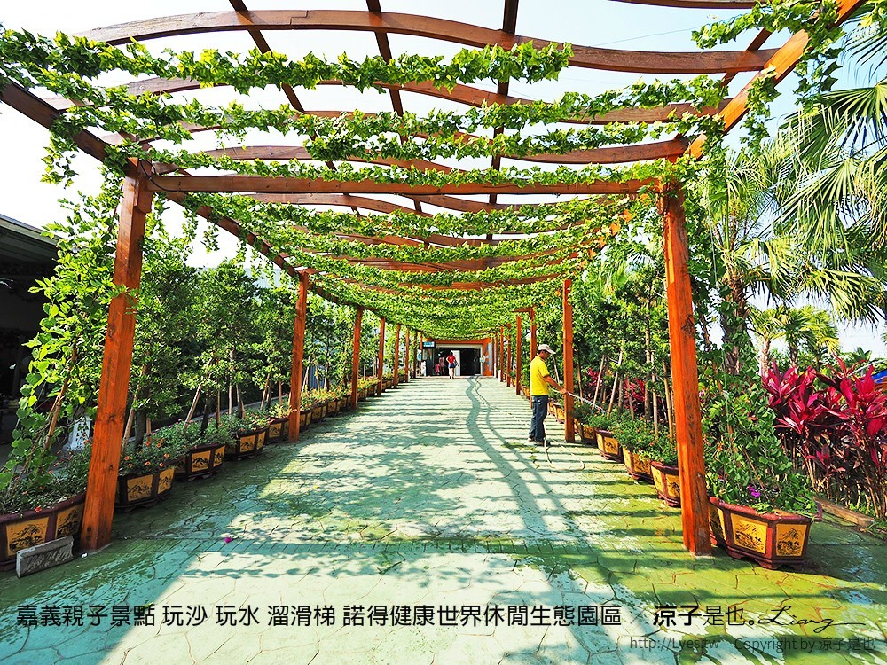 嘉義親子景點 玩沙 玩水 溜滑梯 諾得健康世界休閒生態園區