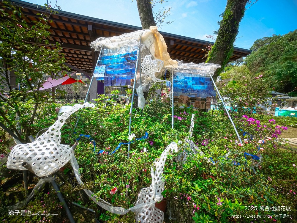 萬金杜鵑花展2025 金山中山溫泉公園 新北景點 北海岸活動 交通 展期 花藝造景 打卡必拍 懶人包