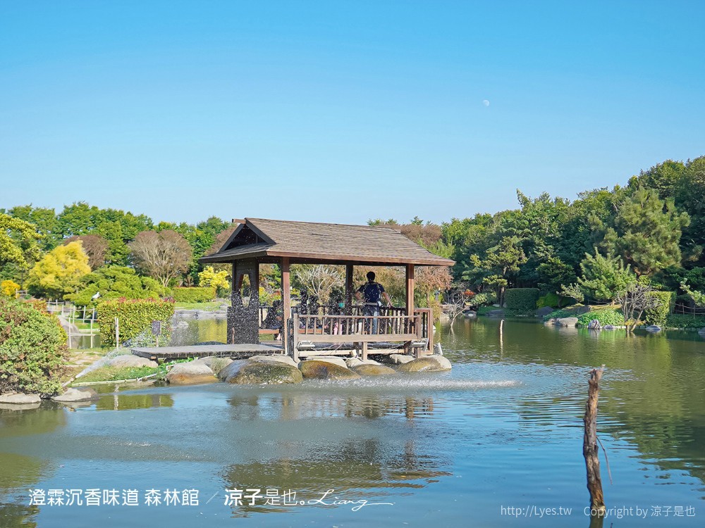 澄霖沉香味道森林館 雲林景點 愛心落羽松 湖畔步道 水之教堂 台版兼六園