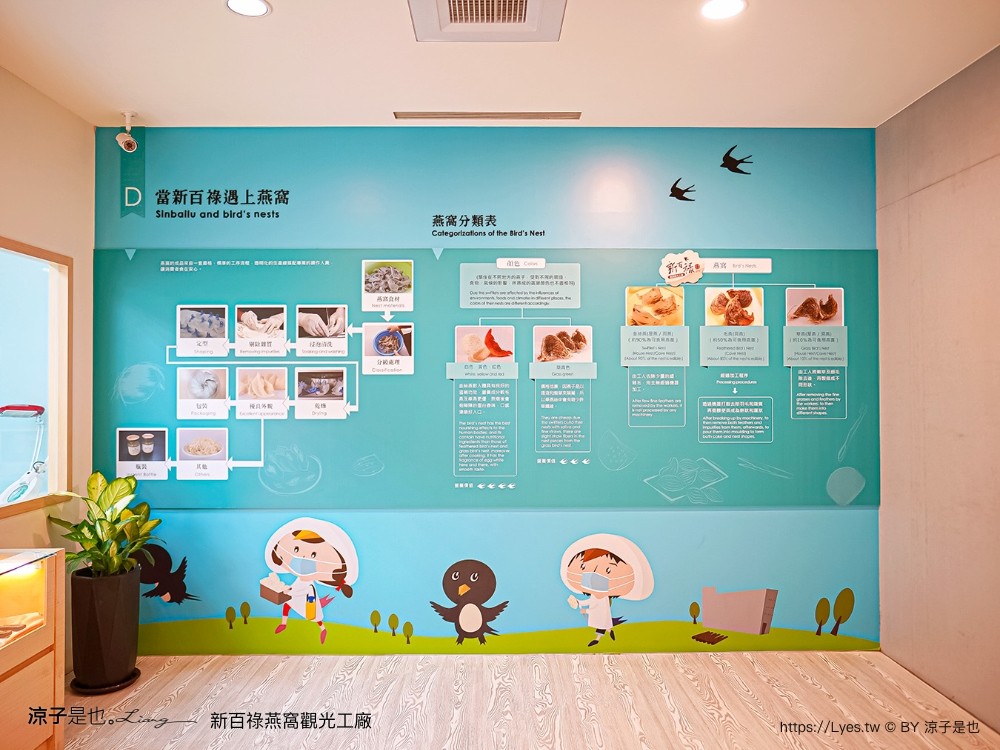 新百祿燕窩觀光工廠 免門票 台南景點 親子景點 燕窩DIY 台南伴手禮 互動體驗 新百祿燕窩評價