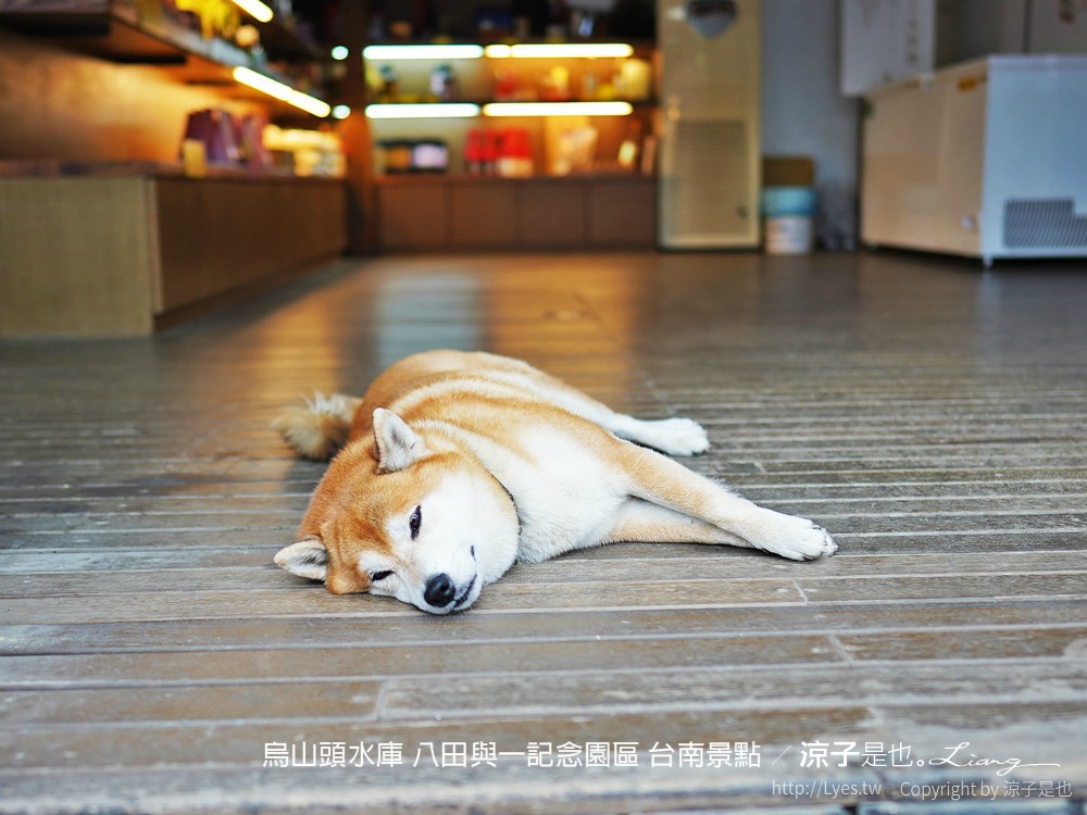 烏山頭水庫 八田與一記念園區 台南景點