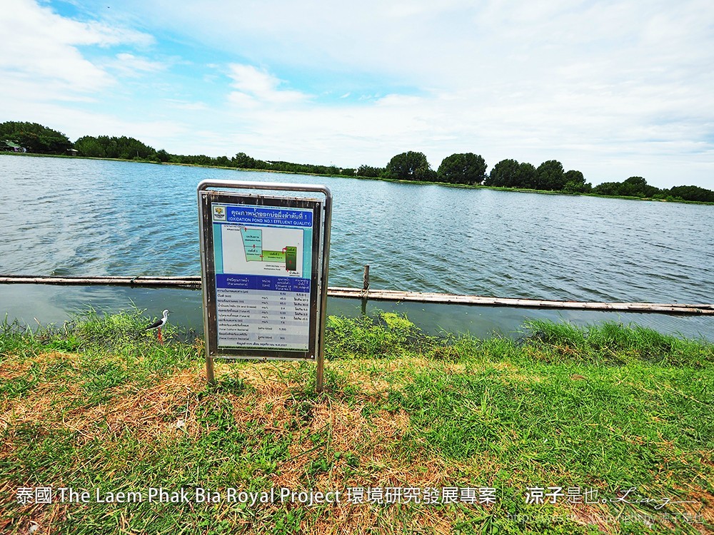 泰國 The Laem Phak Bia Royal Project 環境研究發展專案