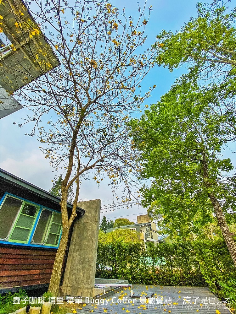 蟲子咖啡 埔里 菜單 buggy coffee 景觀餐廳