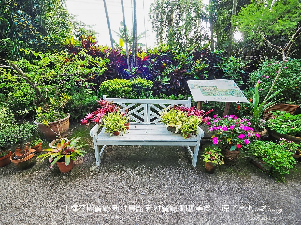 千樺花園餐廳 新社景點 新社餐廳 咖啡美食