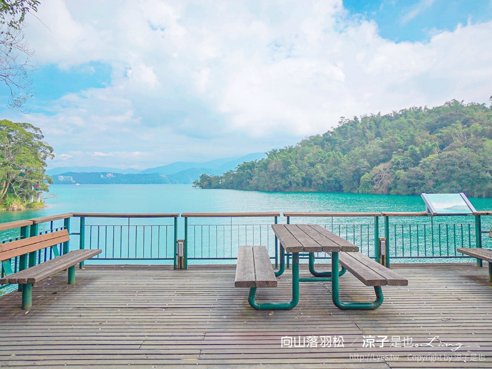 向山落羽松 日月潭自行車道 湖畔 落羽松步道 日月潭景點推薦 IG打卡 南投親子