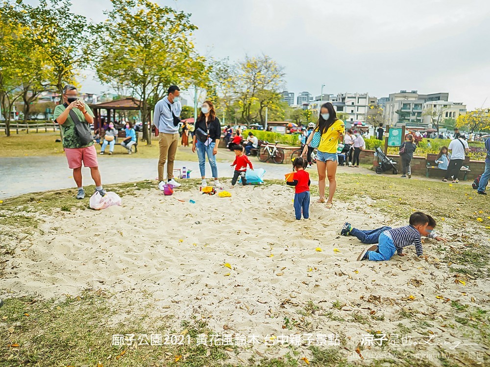 廍子公園2021 黃花風鈴木 台中親子景點
