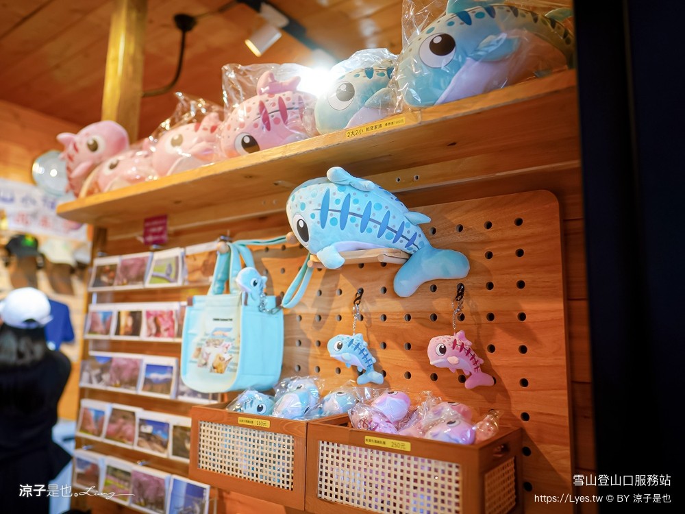 雪山登山口 服務站 武陵農場 天空之鏡 台中谷關景點 網美必拍 雪山登山口海拔