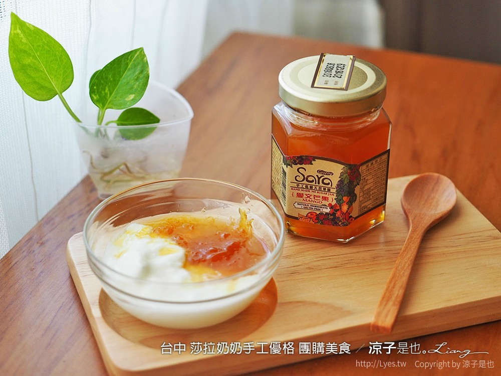 台中 莎拉奶奶手工優格 團購美食 139