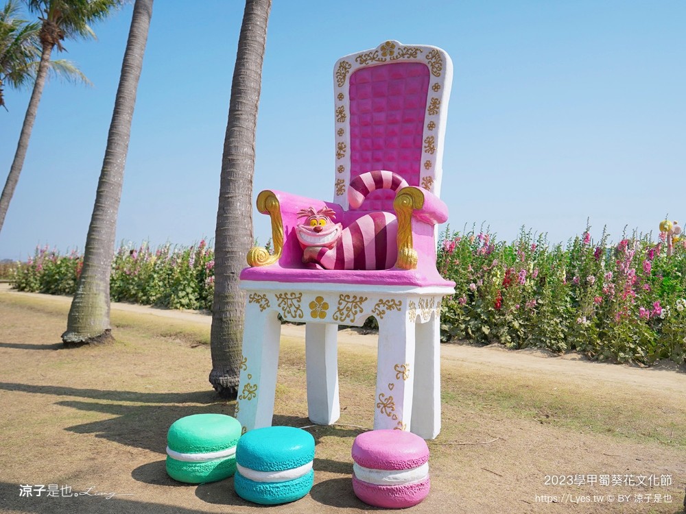 學甲蜀葵花文化節 2023 蜀葵花季 一丈紅迷宮 紫色鼠尾草 季節 花況 交通 學甲景點