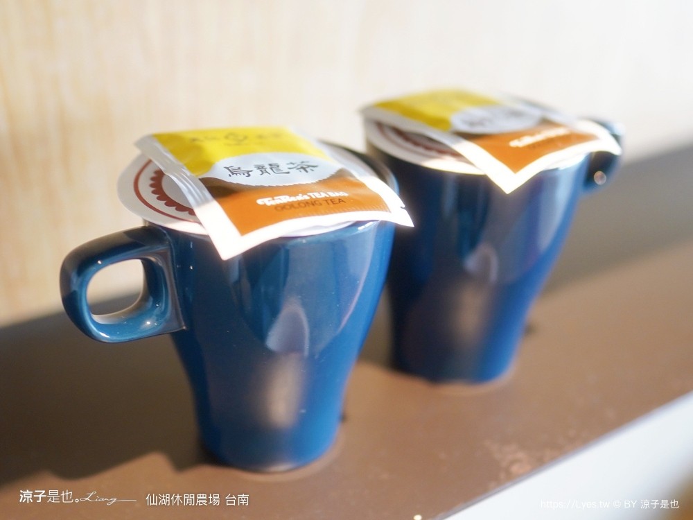 仙湖農場 仙湖休閒農場 住宿房型 台南民宿 早餐 餐廳 菜單 無邊際泳池 小動物 親子飯店 台南景點 龍眼