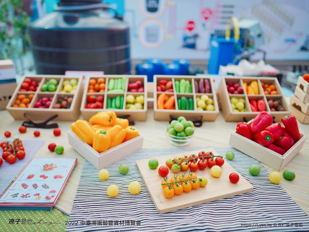 2022中臺灣 氣墊遊戲區 溜滑梯戲水池 農產品展售 美食小吃