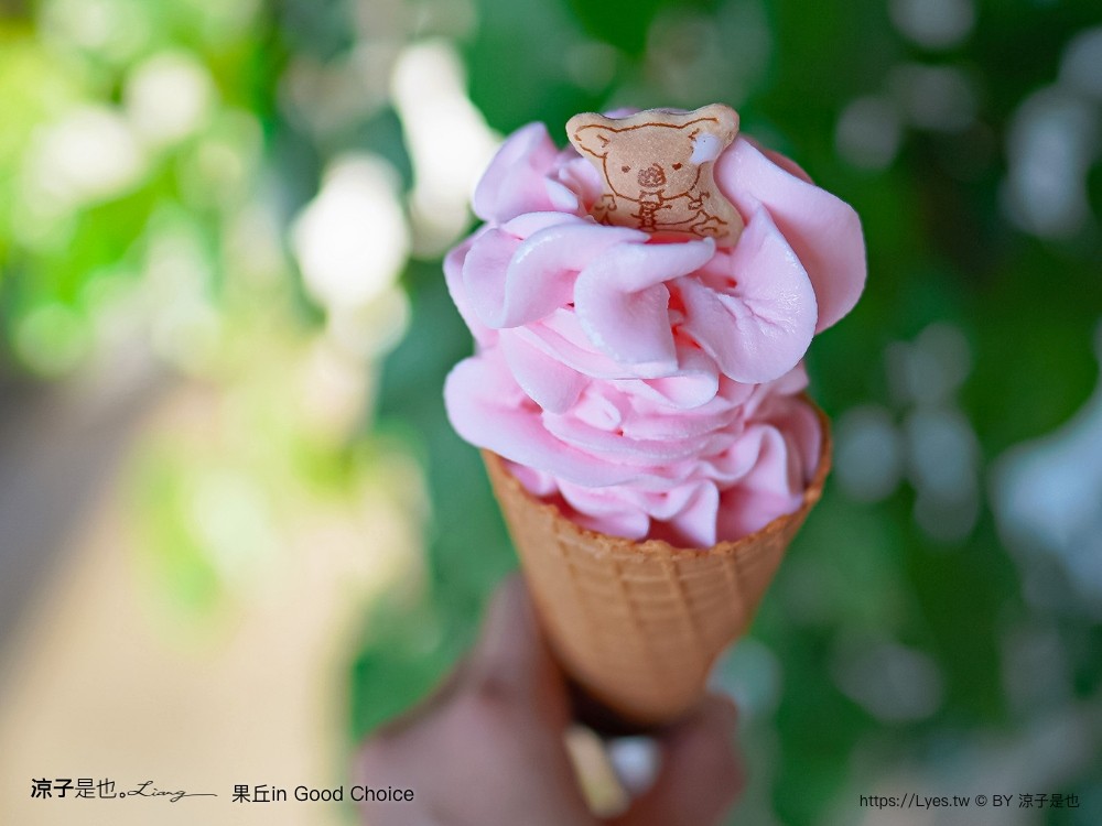 果丘in 埔里景點 南投伴手禮 親子景點 親子diy 菜單 埔里咖啡館 繡球花霜淇淋 果丘in白木耳吸凍飲專賣店 文青空間 good choice