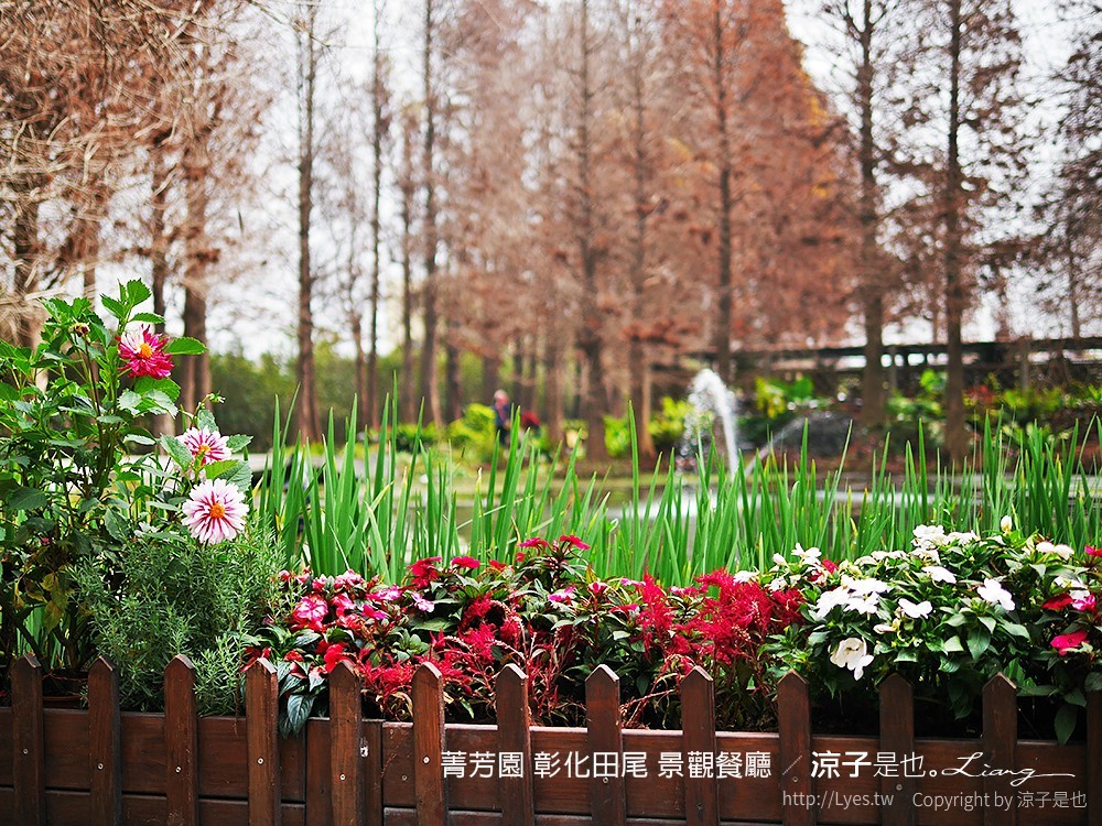 菁芳園 彰化田尾 景觀餐廳