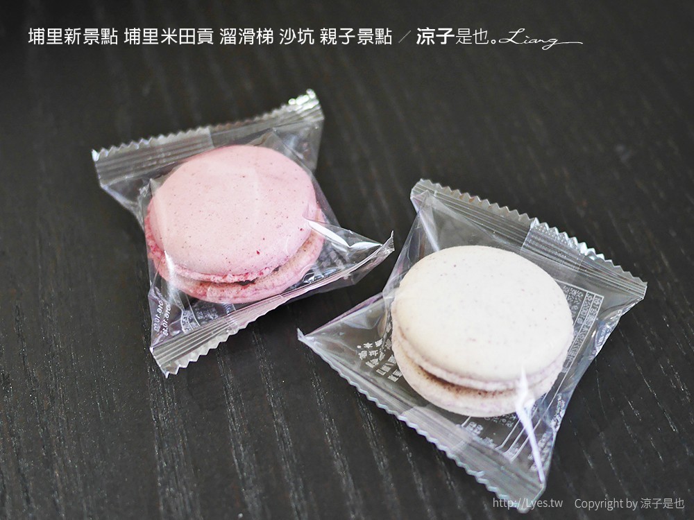 埔里新景點 埔里米田貢 溜滑梯 沙坑 親子景點