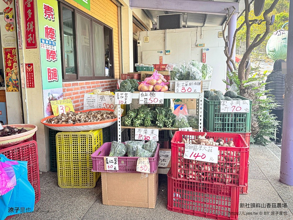 新社頭嵙山香菇農場 新社小吃推薦 新社香菇料理 台中新社美食 新社平價美食