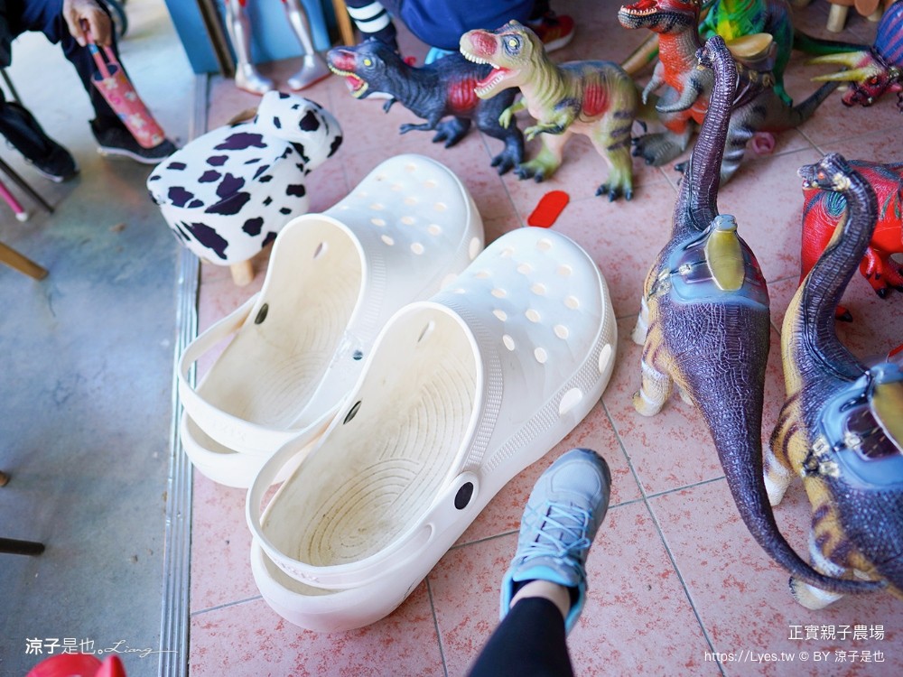 正實親子農場 門票 彰化 親子景點 撿雞蛋 氣墊樂園 溜滑梯 免費 餵小動物體驗 沙坑