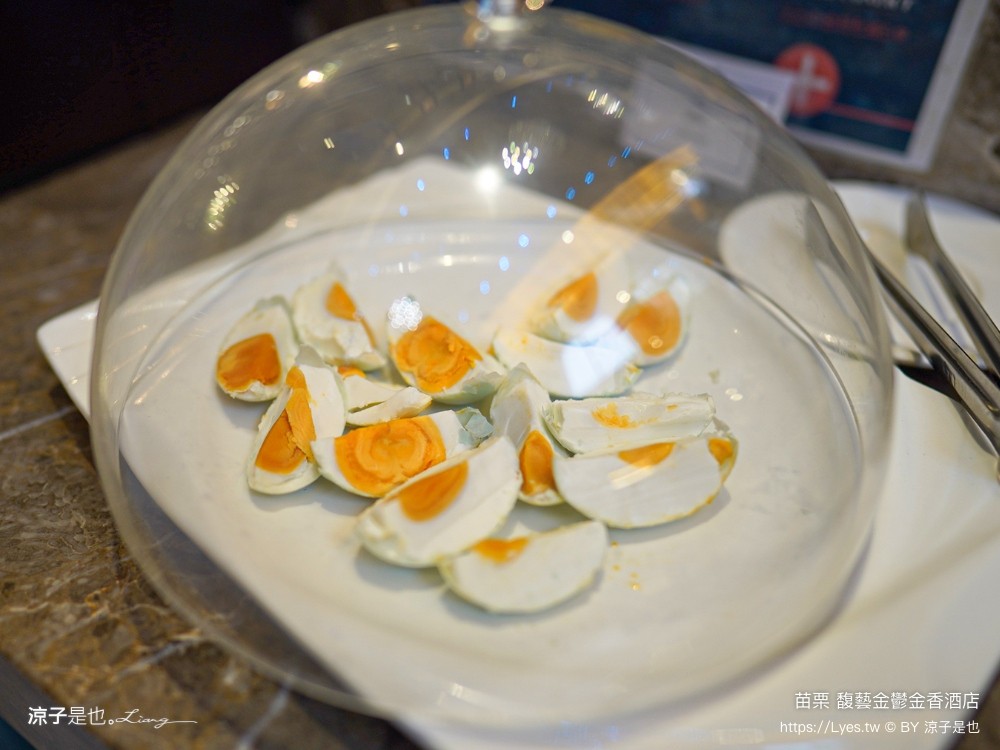 馥藝金鬱金香酒店 苗栗住宿推薦 苗栗親子飯店 早餐 兒童遊戲室 苗栗旅遊 房型介紹