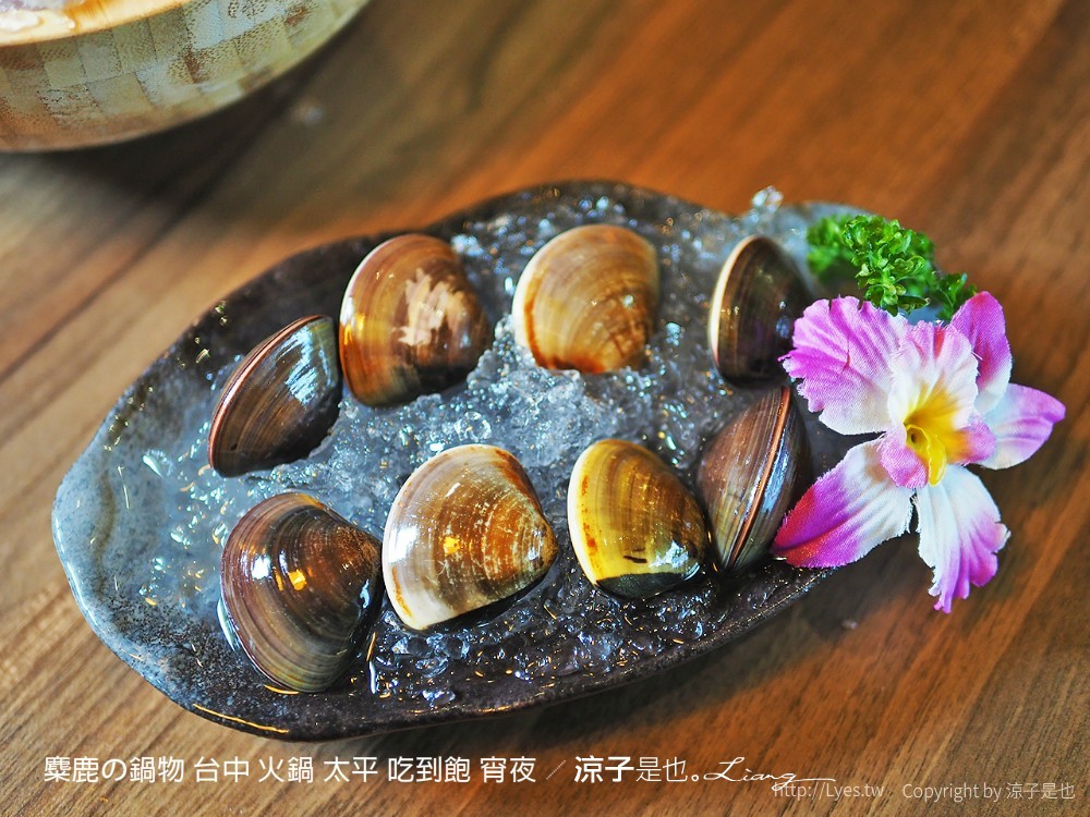 麋鹿の鍋物 台中 火鍋 太平 吃到飽 宵夜