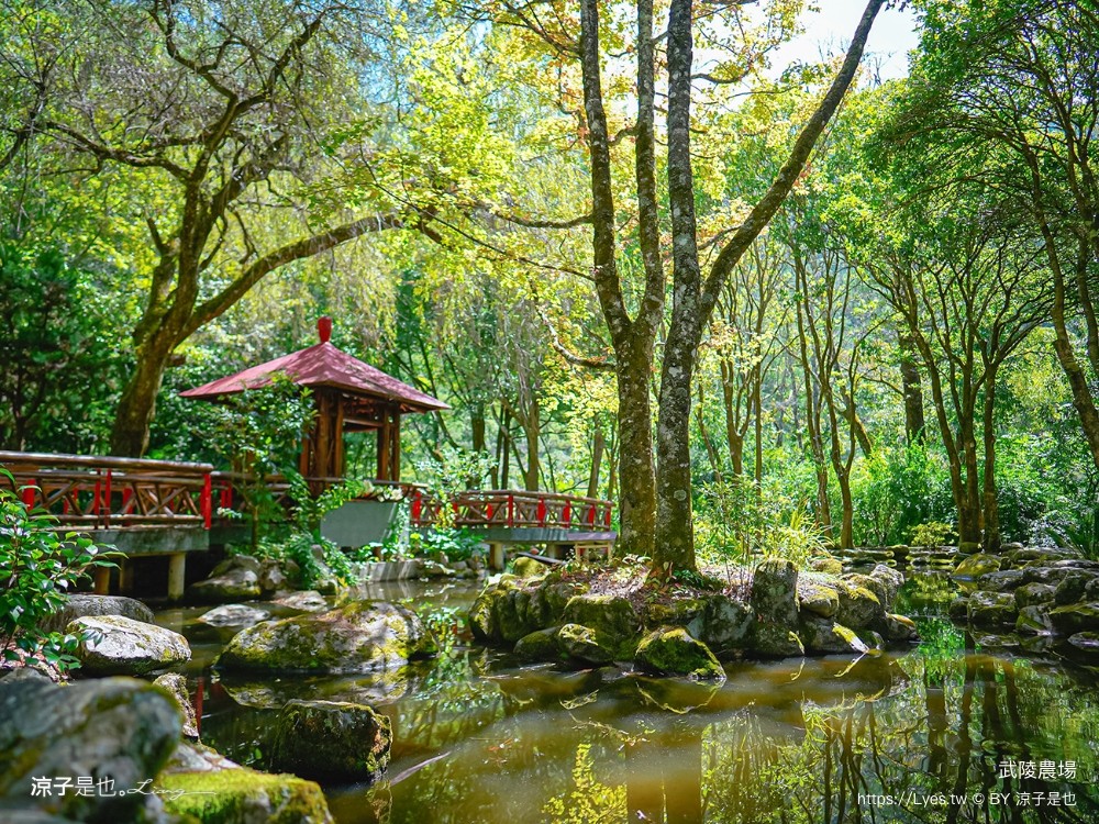 福壽山農場 民宿房型 住宿 露營 賞楓