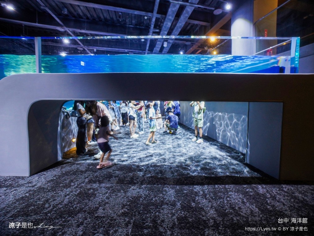 台中海洋館 門票優惠 交通 八大展區 免費票 台中親子景點 台中景點推薦 懶人包 攻略 必看特色