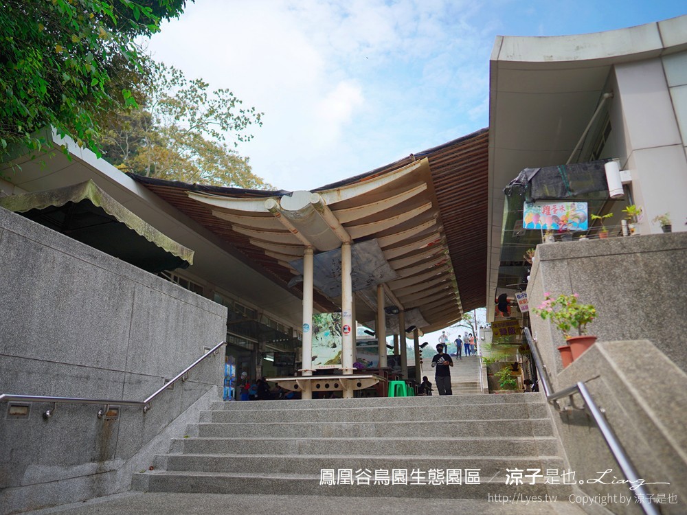 鳳凰谷鳥園生態園區 南投 親子景點 森林溜滑梯 賞鳥 DIY 鹿谷 步道 吊橋 瀑布