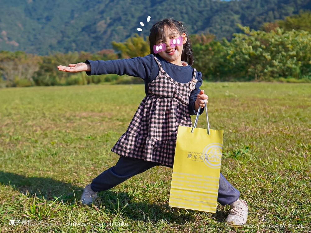 陳允寶泉 草莓檸檬蛋糕 台中伴手禮 台中美食 台中蛋糕 草莓蛋糕 團購美食 年節禮盒