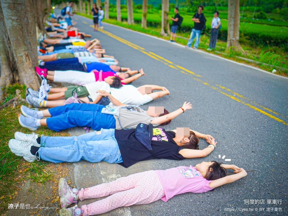 阿度的店 台東景點 鹿野 租車 電動單車遊 綠色隧道 躺馬路 體驗 自行車
