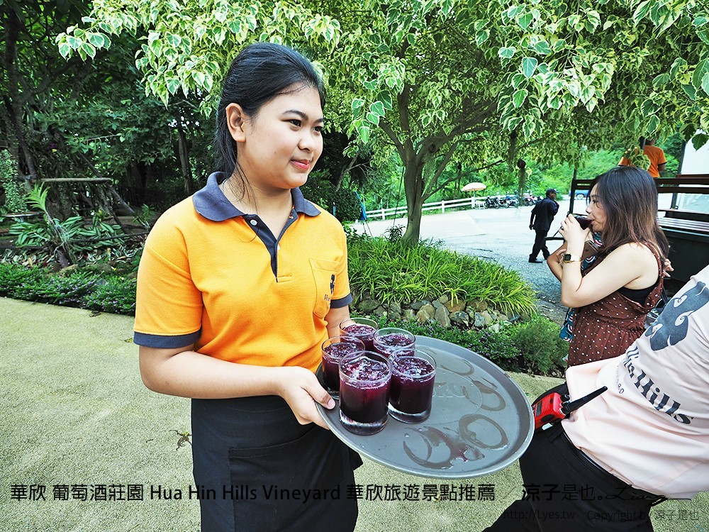華欣 葡萄酒莊園 Hua Hin Hills Vineyard 華欣旅遊景點推薦