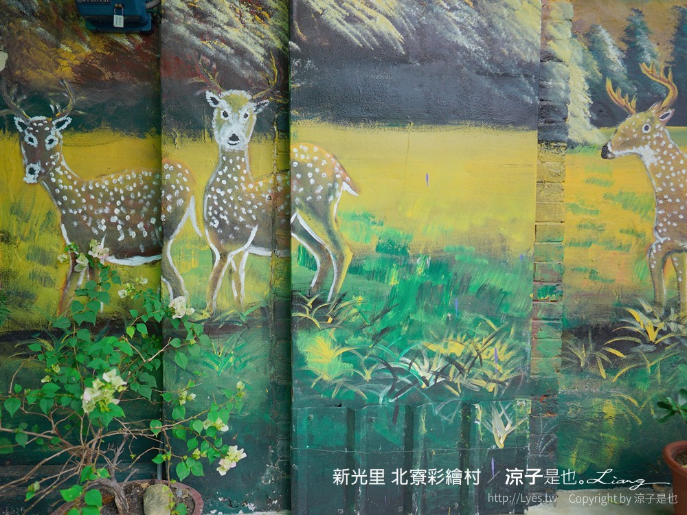 新光里北寮彩繪村 台南關廟 免門票 親子景點 田園藝術 關廟彩繪村